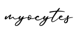 单词myocytes书写