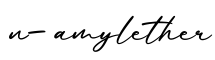 单词n-amylether书写