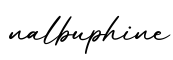 单词nalbuphine书写
