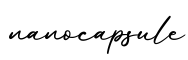 单词nanocapsule书写