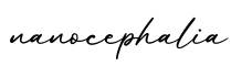 单词nanocephalia书写