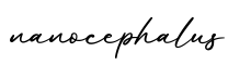 单词nanocephalus书写