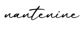 单词nantenine书写