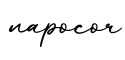 单词napocor书写
