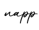 单词napp书写
