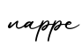 单词nappe书写