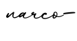 单词narco-书写