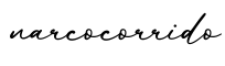 单词narcocorrido书写