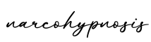 单词narcohypnosis书写