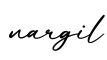 单词nargil书写