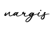 单词nargis书写