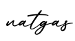 单词natgas书写