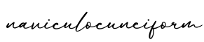 单词naviculocuneiform书写