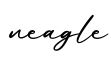 单词neagle书写