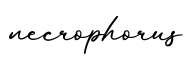 单词necrophorus书写