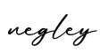 单词negley书写