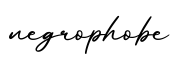单词negrophobe书写