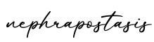 单词nephrapostasis书写