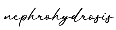 单词nephrohydrosis书写