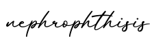 单词nephrophthisis书写