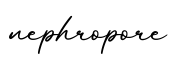 单词nephropore书写