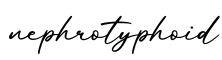 单词nephrotyphoid书写