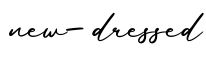 单词new-dressed书写