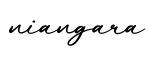 单词niangara书写