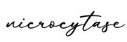 单词nicrocytase书写