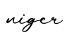单词niger书写