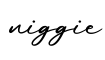 单词niggie书写