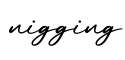 单词nigging书写
