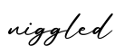 单词niggled书写