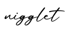 单词nigglet书写