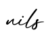 单词nils书写