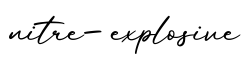 单词nitre-explosive书写