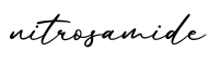 单词nitrosamide书写