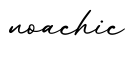 单词noachic书写