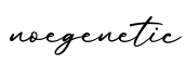 单词noegenetic书写