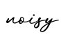 单词noisy书写