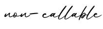 单词non-callable书写