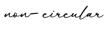 单词non-circular书写