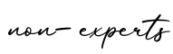 单词non-experts书写