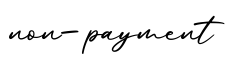 单词non-payment书写