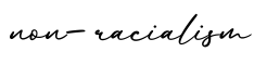 单词non-racialism书写