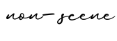 单词non-scene书写