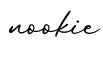 单词nookie书写