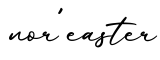单词nor'easter书写