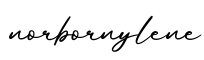 单词norbornylene书写