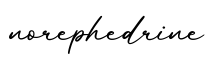 单词norephedrine书写